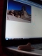 The sphinx