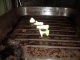 Ready to be cooked