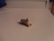 The Great Sphinx