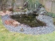 Pond