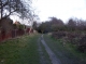 The path
