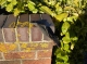 Sock on a wall