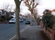 Leeson Road