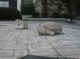 Stone turtle!