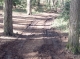 Tracks
