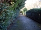 A useful path