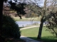 Queen's Park lake