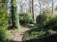 Woodland
