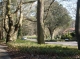 Broad Avenue