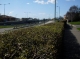 Wessex Way