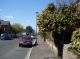 Richmond Wood Road
