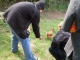 Feeding the chickens