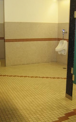 The lone urinal...