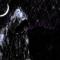 Rain and Night Rain and Night