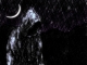Rain and Night