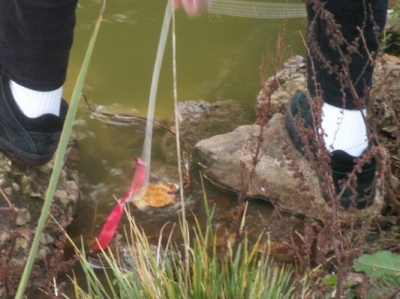 Bryce stands just above the ribbon... will he find it?