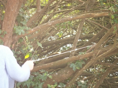 Evie's got a big one on the line!