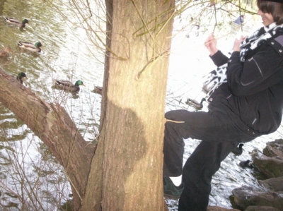 Pulling it out of a tree.