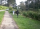 Run!
