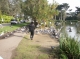 Pidgeon Break!