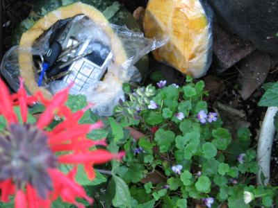 Wallet Garden?