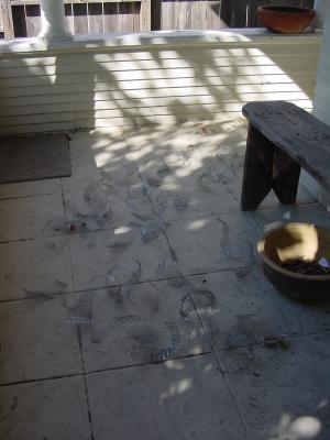 Before, Bits and pieces