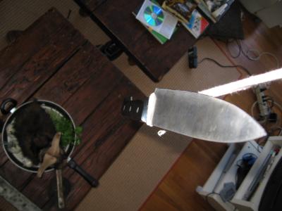 SF0 003.jpg