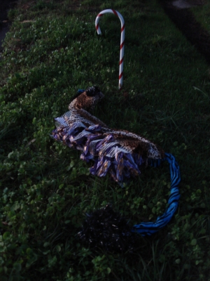 In the grass + jogging path