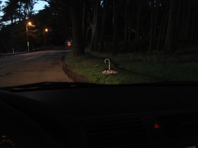 What it would look like to a driver at night