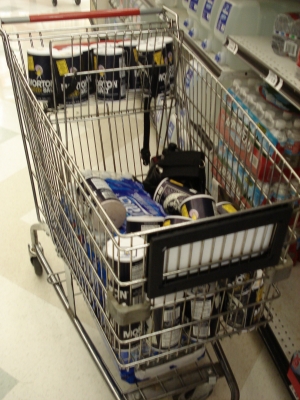 Just to drive the point home, I filled my cart with salt. Just to drive the point home, I filled my cart with salt.