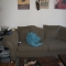 SF0 002.jpg
