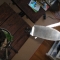 SF0 003.jpg