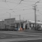DSC02017.jpg