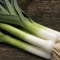 leek.jpg