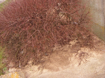 Vicki: My package Vicki: My package