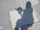 Shadow