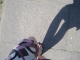 Walking