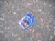 The random object