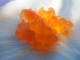 L'équipe orange
