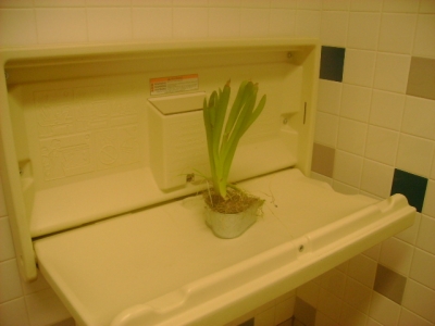plant 2