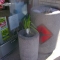 plant 4
