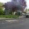 Neighborhood Two