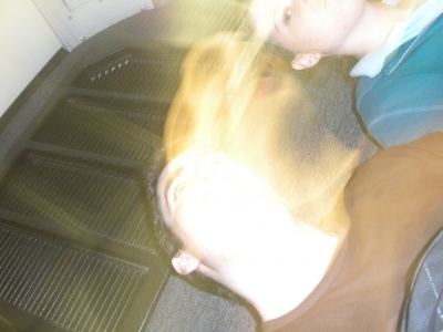 DSCN0436.JPG