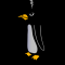 angry penguin.png