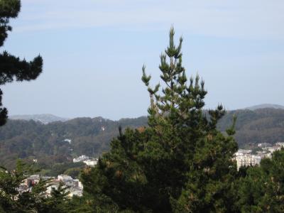 The View