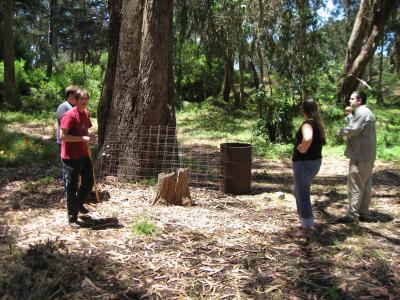 Start with a Stump Start with a Stump
