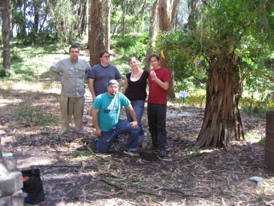 The Team with the Tree The Team with the Tree