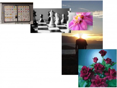 Photographic Sentence.jpg