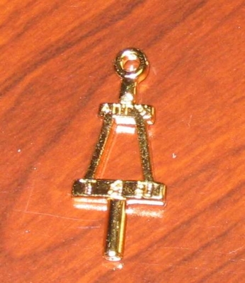 Pin.jpg