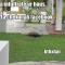 facebook peacock